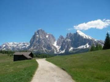 Hotel Dorfer Alpine&charming Selva di Val Gardena
